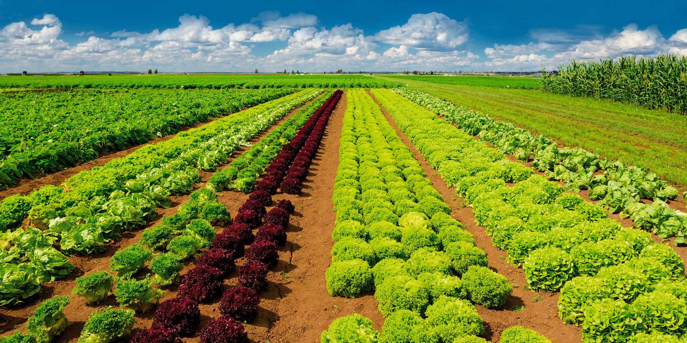 越南顶级农业公司代表团访问山东迈拓凯生物科技有限公司