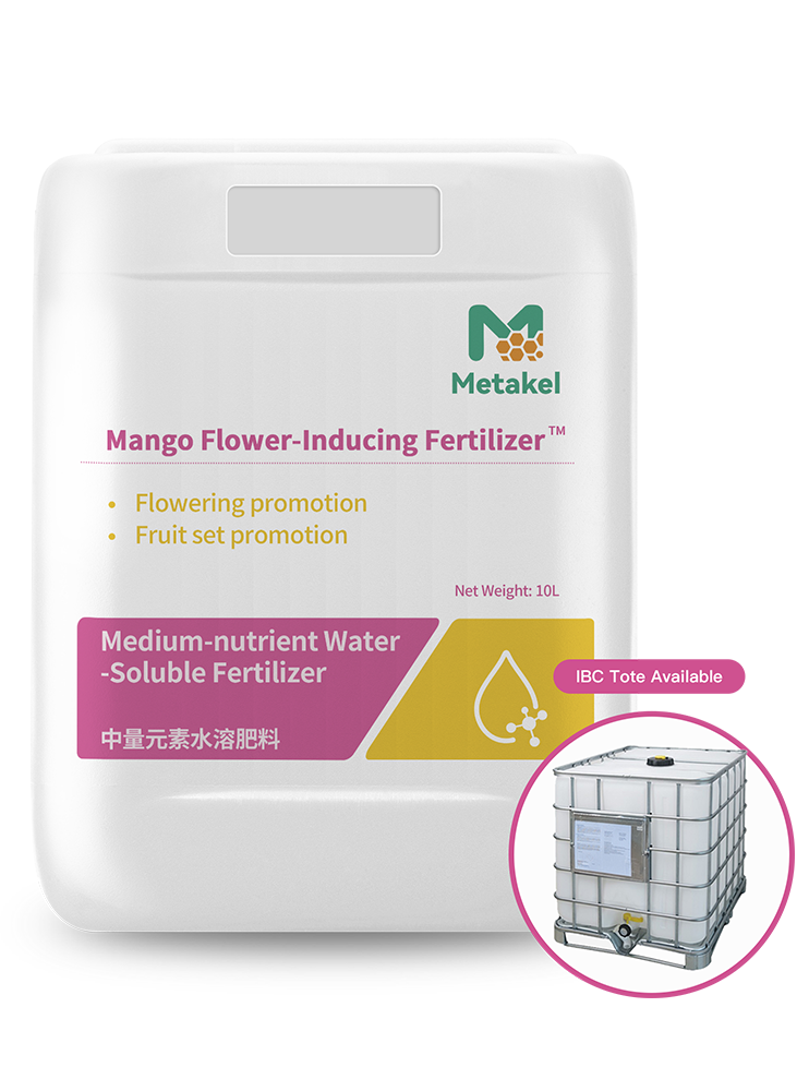 芒果开花肥料